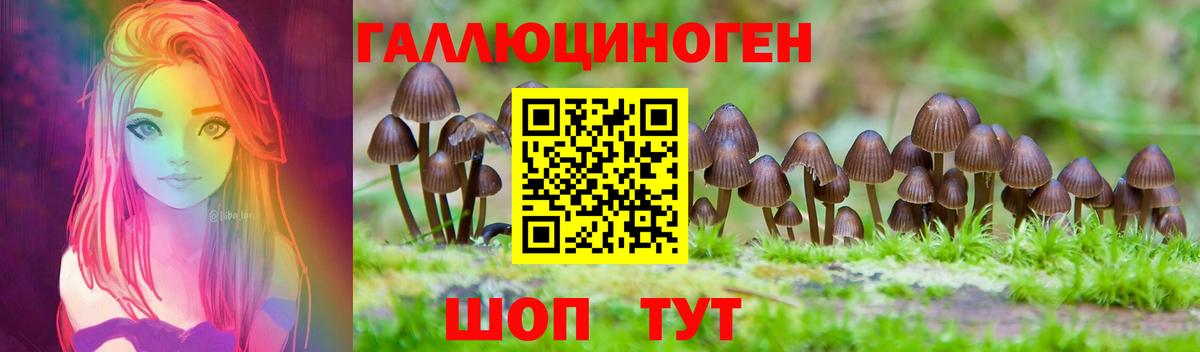 Псилоцибиновые грибы Cubensis Сергиев Посад